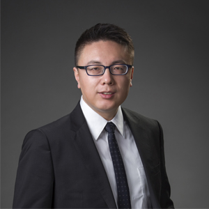 Liu Yijing